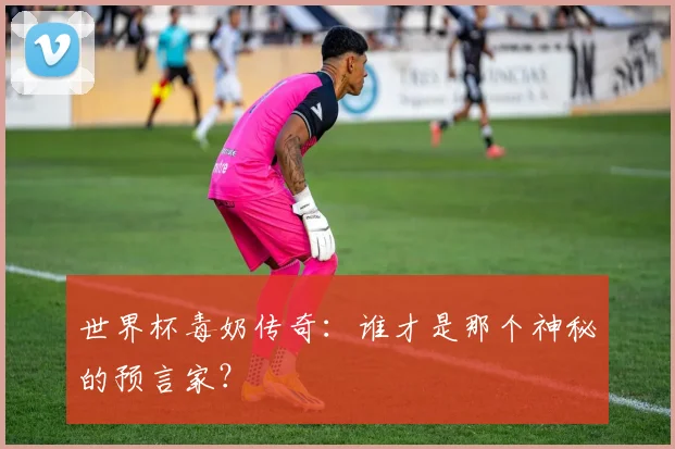 世界杯毒奶传奇：谁才是那个神秘的预言家？