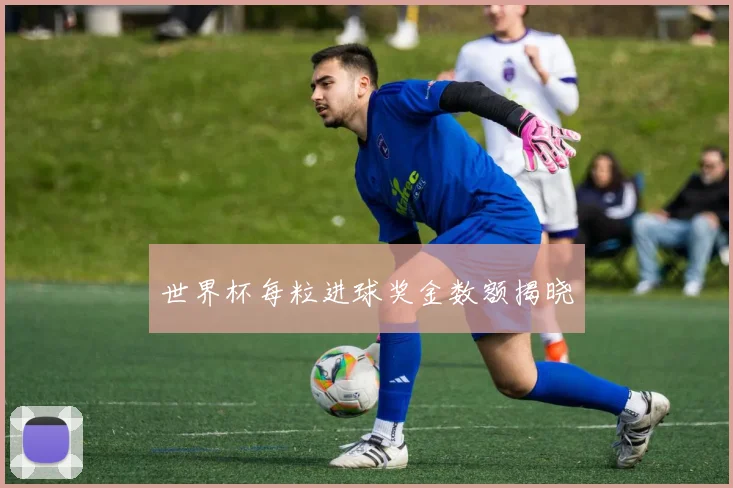 世界杯每粒进球奖金数额揭晓