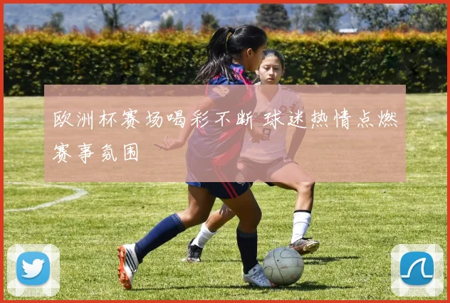 欧洲杯赛场喝彩不断 球迷热情点燃赛事氛围