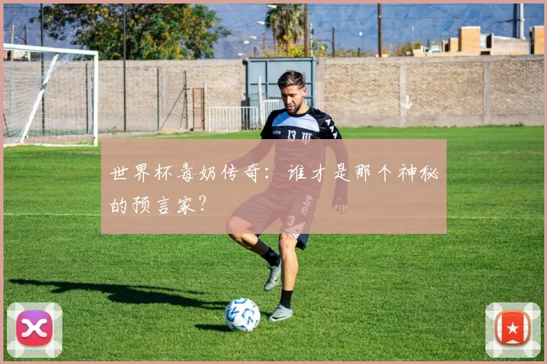 世界杯毒奶传奇：谁才是那个神秘的预言家？