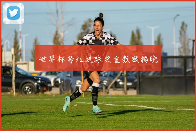 世界杯每粒进球奖金数额揭晓