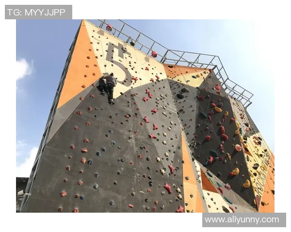 上海攀岩队技术交流与训练心得分享攀岩运动的未来发展探讨