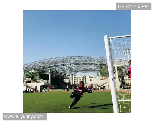 杨娜独家揭秘足球技巧与心得分享助你提升球技的秘诀